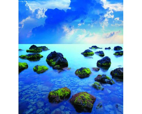 Desk Calendar DC 8